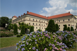 Muzeum Archeologiczne